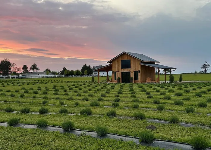 Salt And Cedar Bed And Breakfast