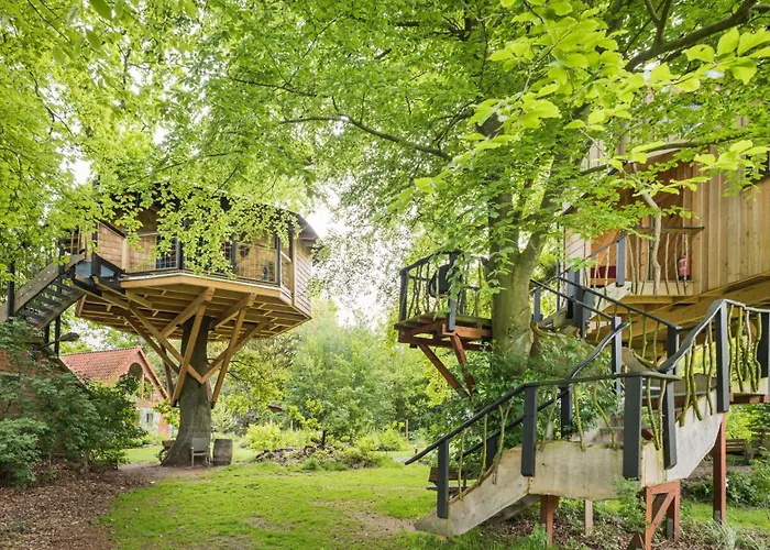 Baumhaus Solitaer