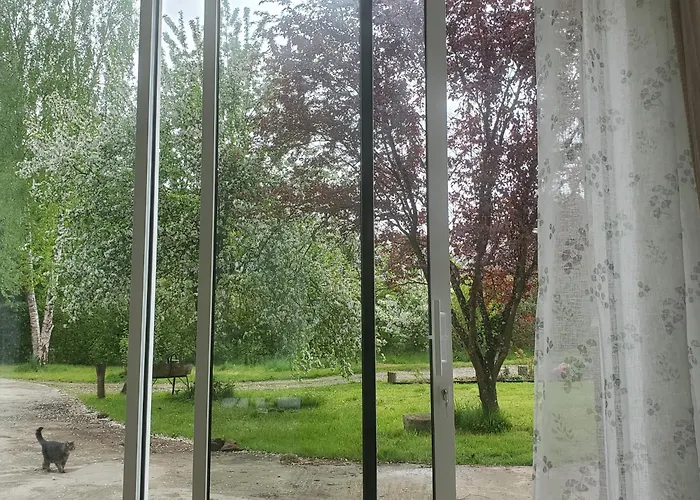Le Jardin Des Papillons, Gite Et Chambre D'Hotes A Saint Fraimbault