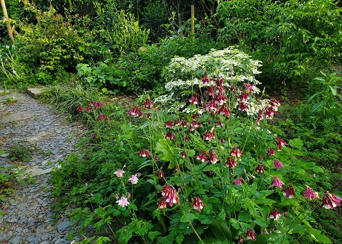 Le Jardin Des Papillons, Gite Et Chambre D'Hotes A Saint Fraimbault