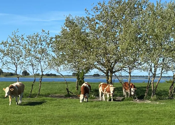 Tjebberupgaard B&B