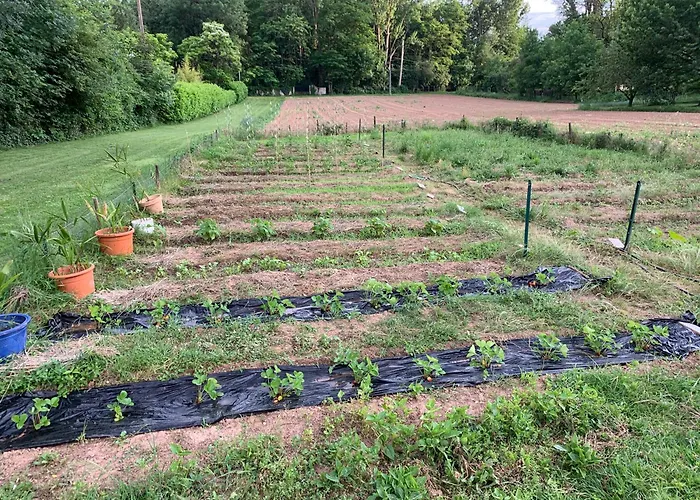 Maison D Hotes Greenhouse