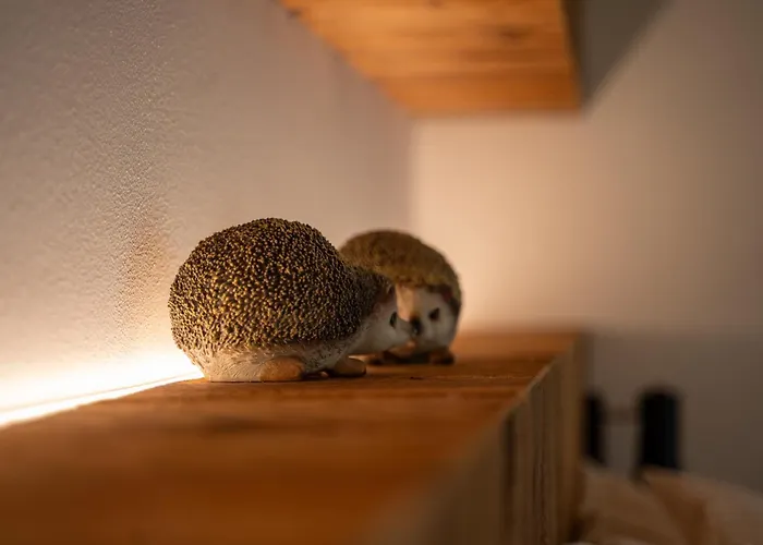 Fai le Coccole