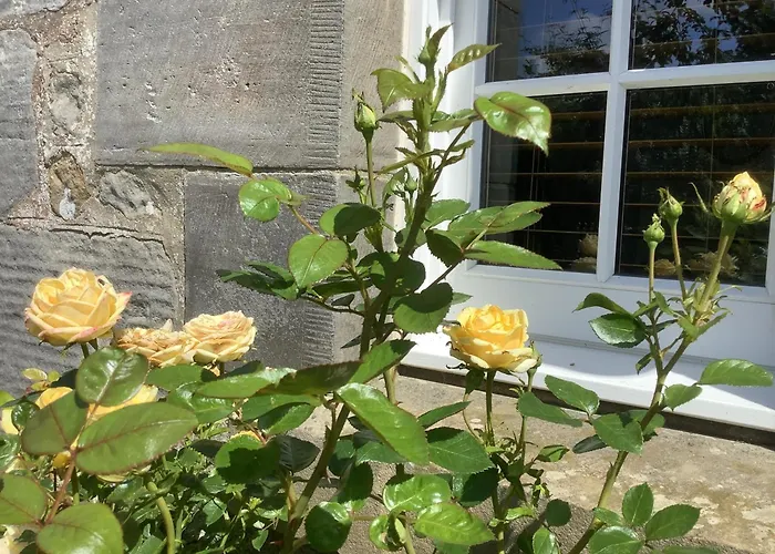 Balmungo Cottage B&B