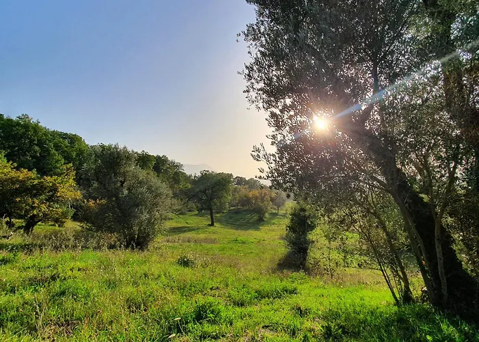 Vinea del Selvatico cascina agricola