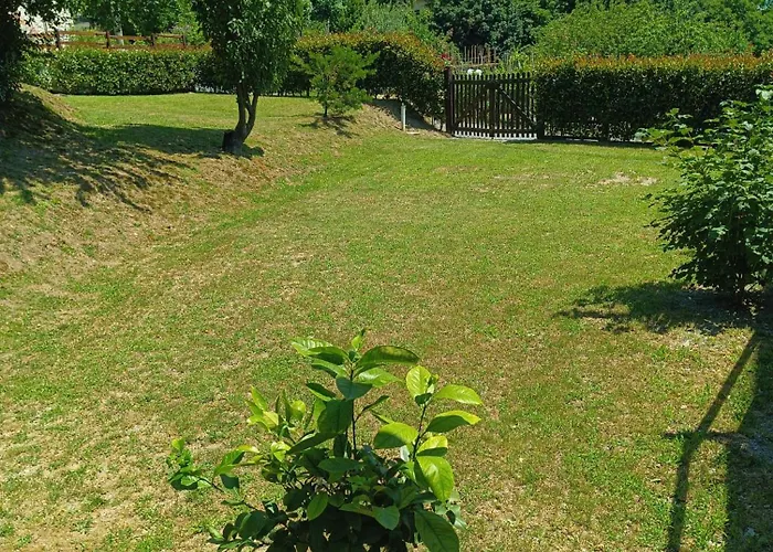 LA TANA DELLA VOLPETTA - Bed&Breakfast