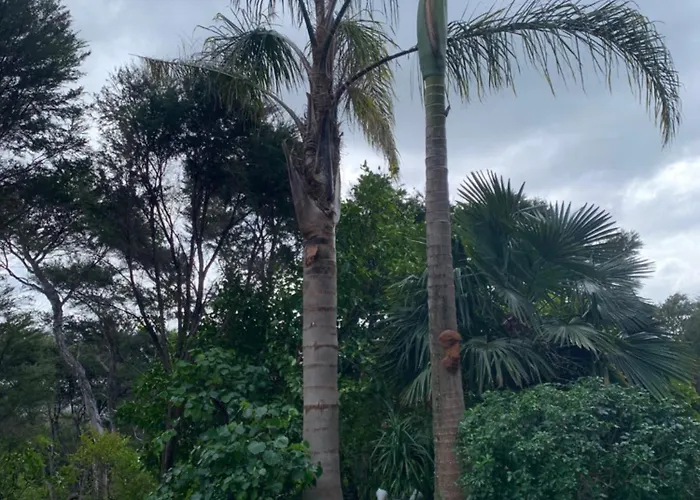 Puka Heights