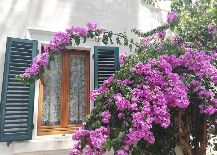 La Bouganville
