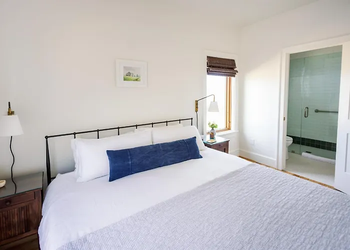 Buena Vista Bed & Breakfasts 