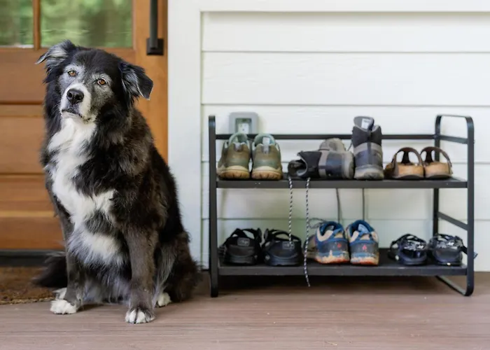 The Indigo House, An Adults Only, Modern Bed And Breakfast For Outdoorsy Humans And Kind Dogs