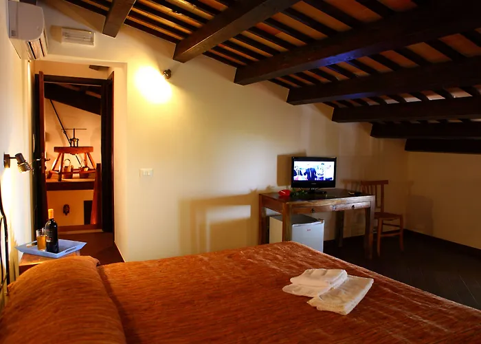 B&B Sabir