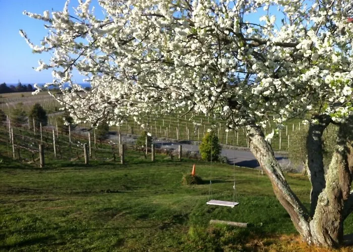 Pine Hill Lodge In Vineyard