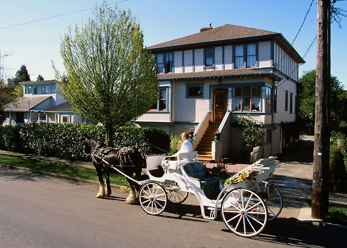 Marketa'S Bed And Breakfast