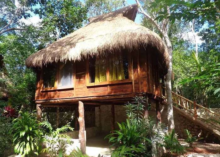 Casa Mango