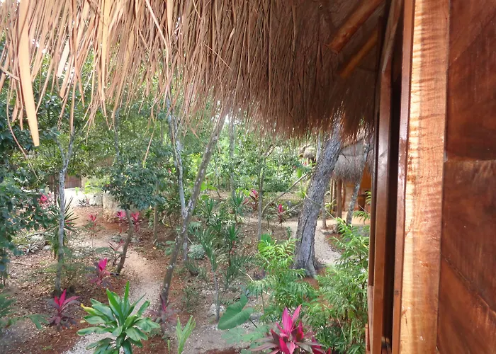 Casa Mango