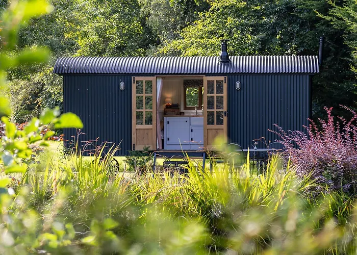Peatlands Retreat, Causeway Coast