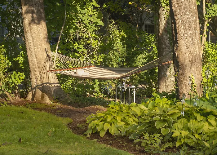 Marshfield Bed & Breakfasts 