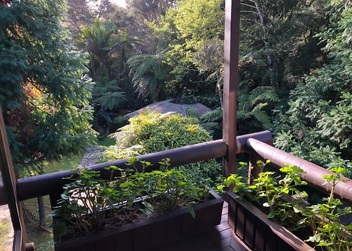 Rapaura Watergardens
