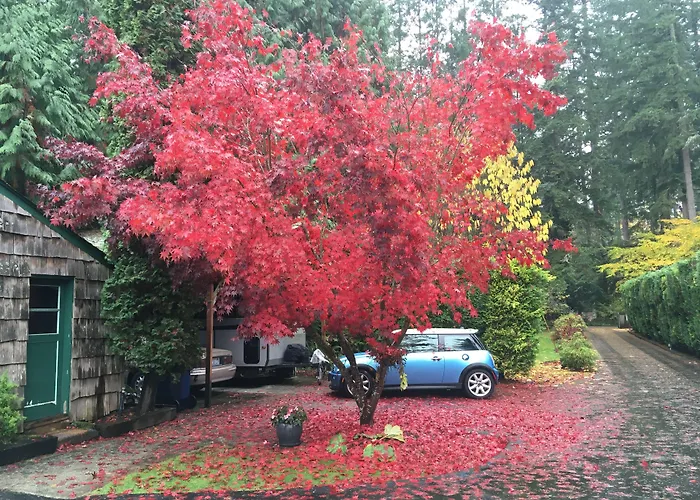 Cottage Lake Bed And Breakfast