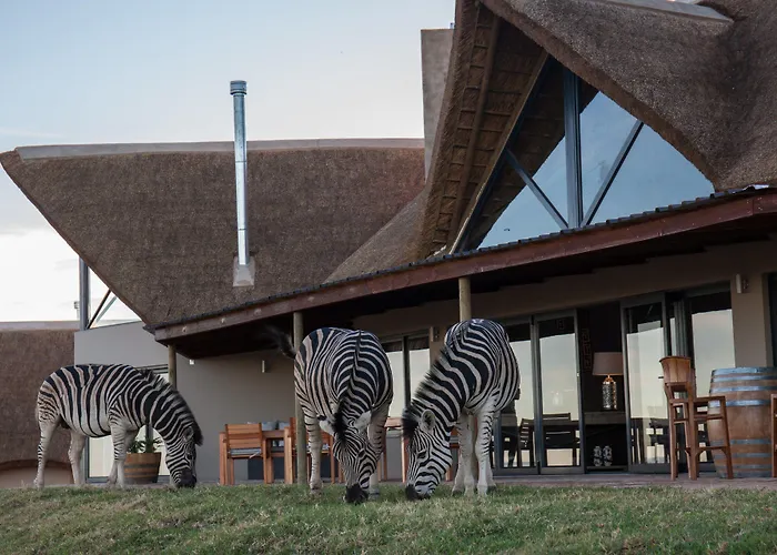 Jbay Zebra Lodge