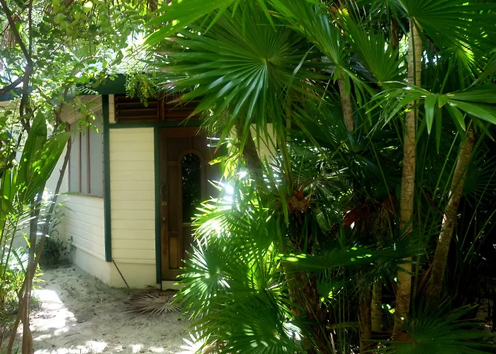 Jungle Cocoon Boutique Hotel