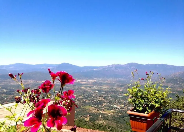 B&B Selvaggio Blu