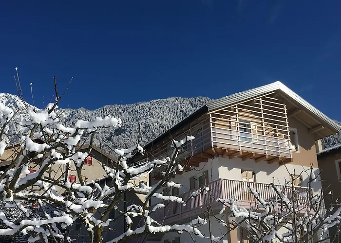 Cortina d'Ampezzo Bed & Breakfasts 