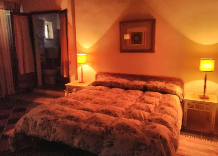 L'Asino Vola