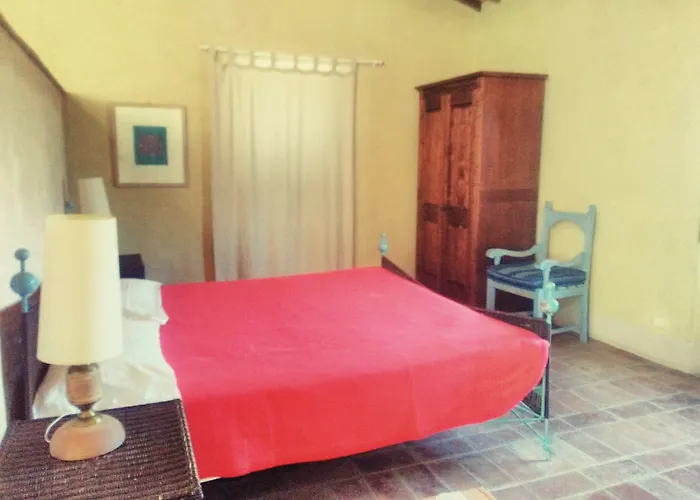L'Asino Vola