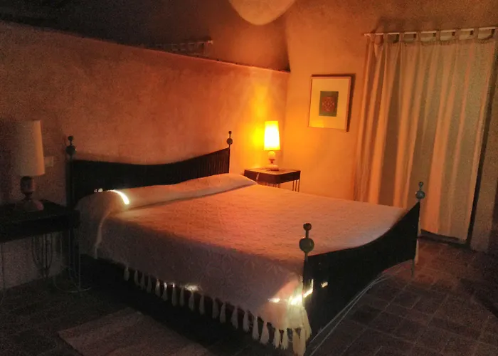 L'Asino Vola