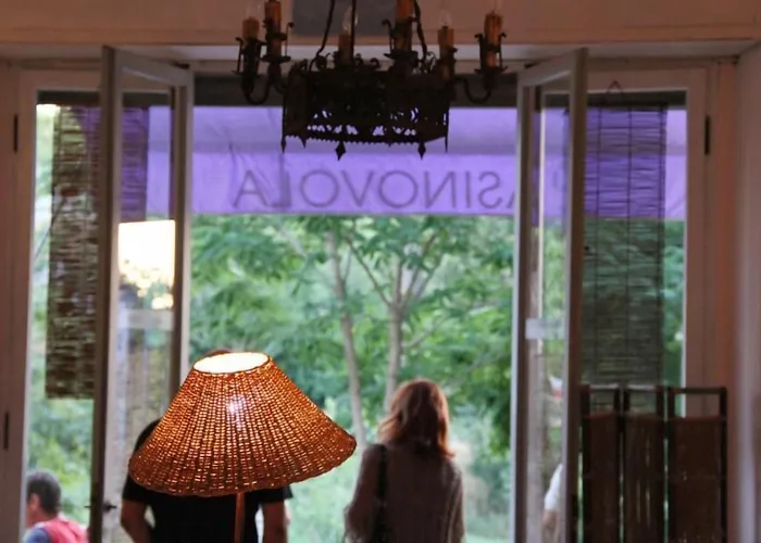L'Asino Vola