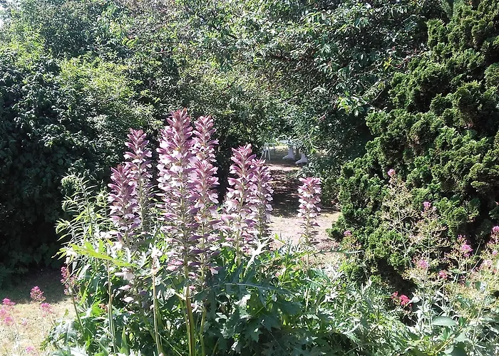 Chambres Du Jardin Fleuri