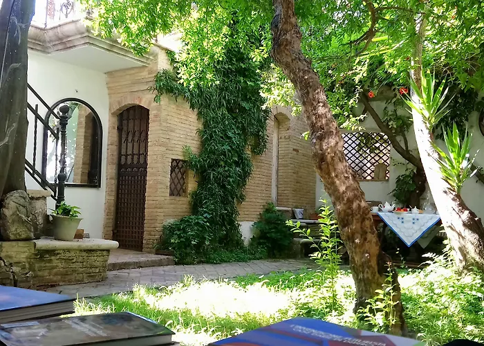 Le Foglie Di Acanto