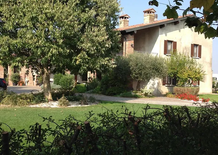 Le Rondini
