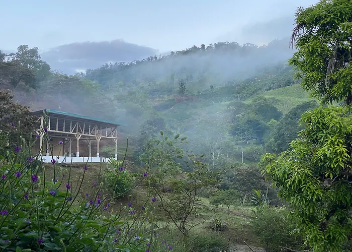 Arte De Plumas Birding Lodge