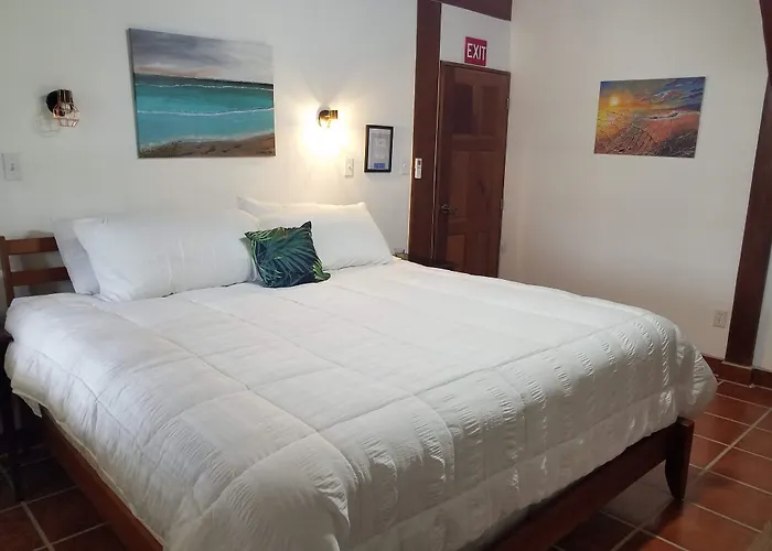 The Bnb On Triggerfish Close To The Airport