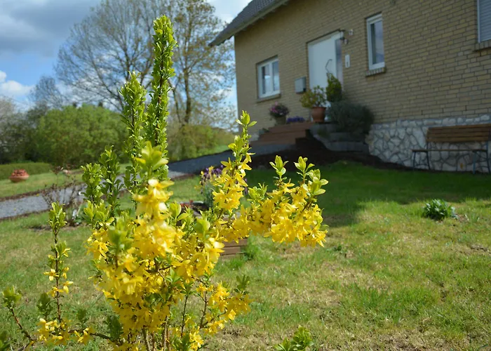 Odenthal Bed & Breakfasts 