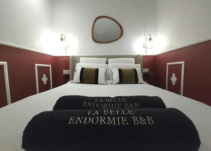 La Belle Endormie B&B French Guest House