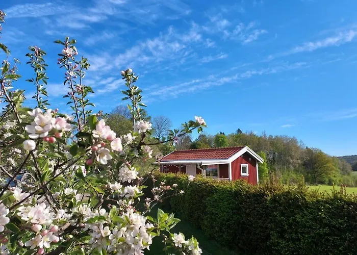 Aelgbergets Bed & Breakfast