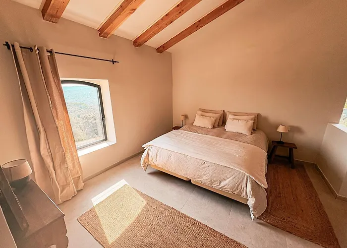 Mimosa Lodge