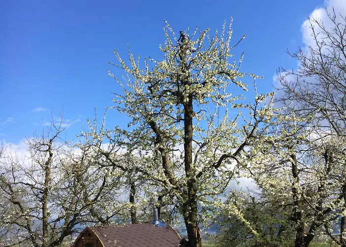 B&B Friedau