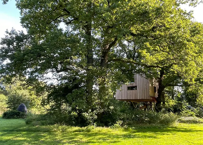 Baumhaus Beletage
