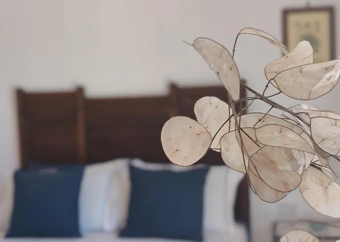 B&B Mareluce