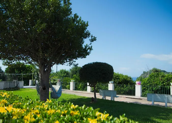 Belvedere