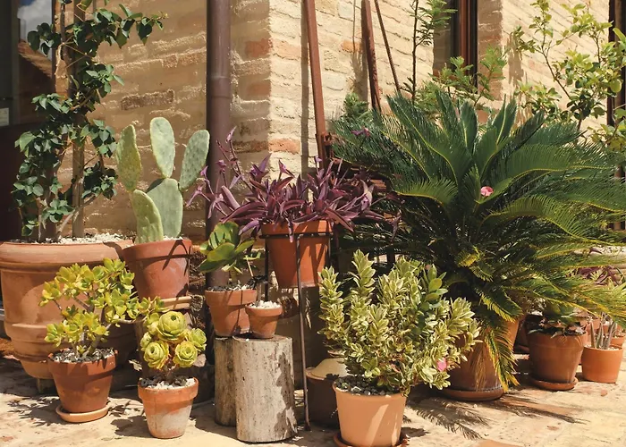 Agriturismo Scala - Eco Boutique B&B In Le Marche