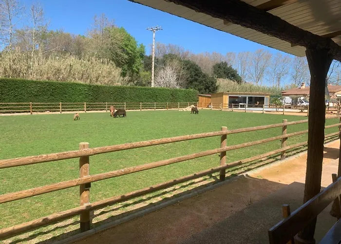 Rancho Catalan 2