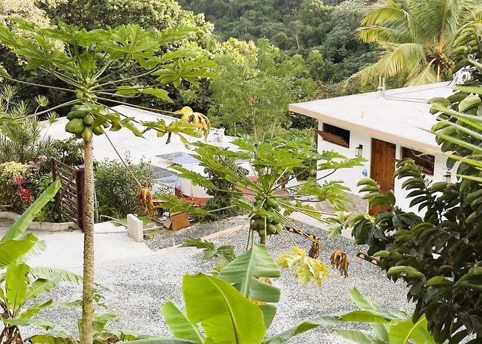 Finca Ki' - Eco Farm Stay Bed & Breakfast - El Yunque Region