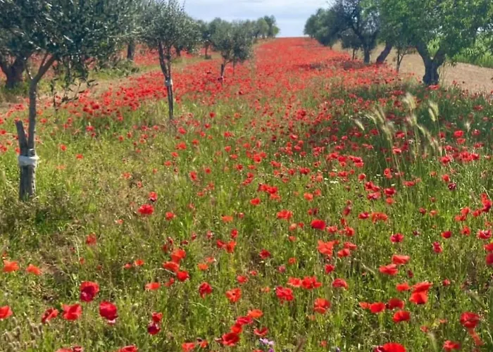 Bed&Breakfast Oasi San Giovanni