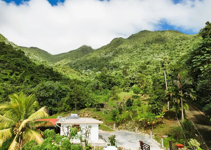 Finca Ki' - Eco Farm Stay Bed & Breakfast - El Yunque Region