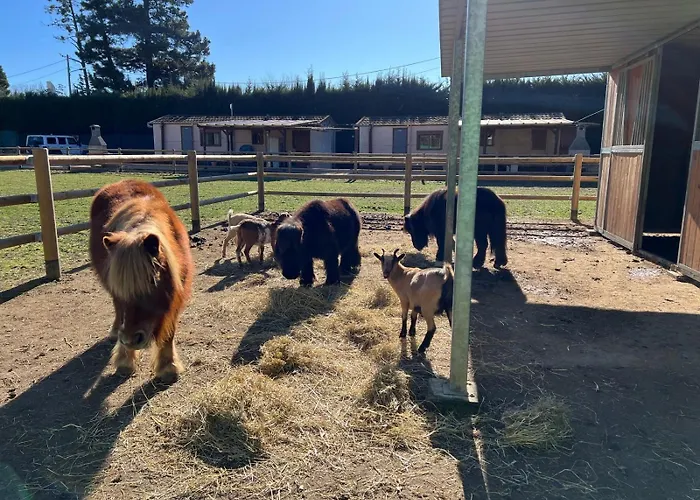 Rancho Catalan 2